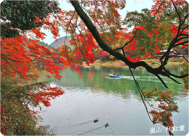 嵐山紅葉-5