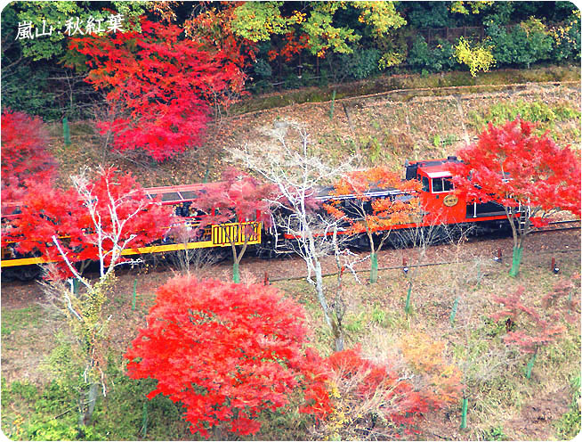 嵐山紅葉-6