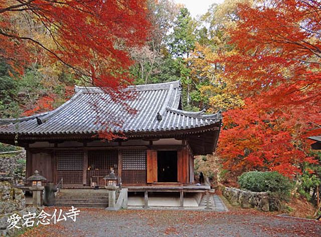 京都観光愛宕念仏寺2