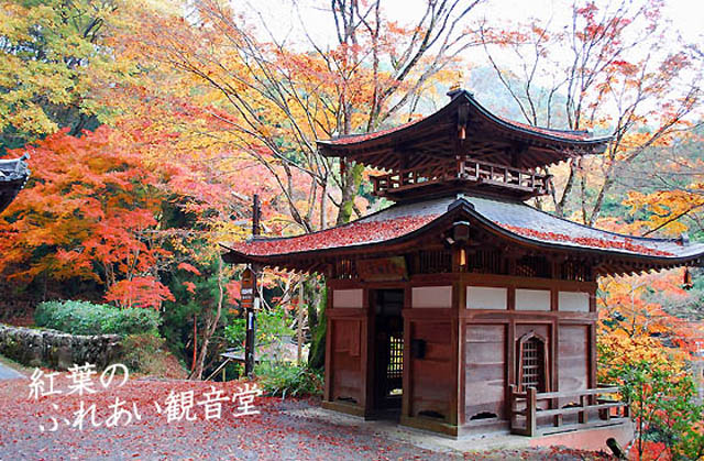 京都観光愛宕念仏寺6