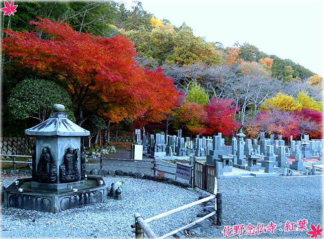 化野念仏寺紅葉4