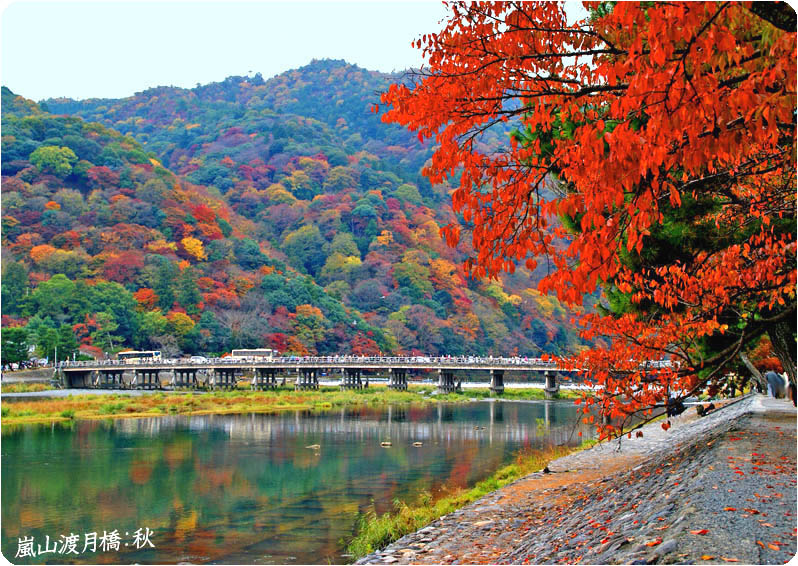 嵐山渡月橋の紅葉