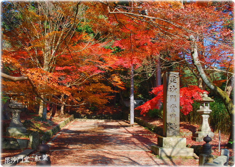 毘沙門堂紅葉2