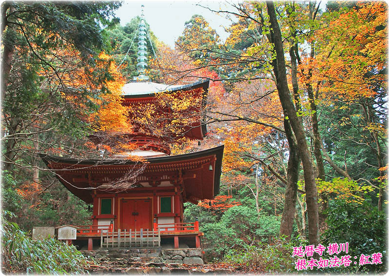 比叡山延暦寺 紅葉