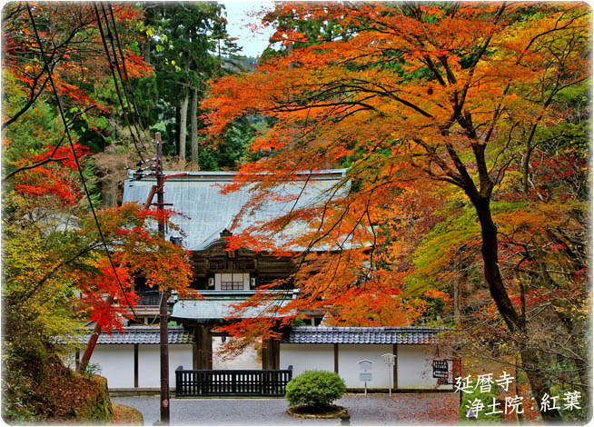 比叡山延暦寺紅葉5