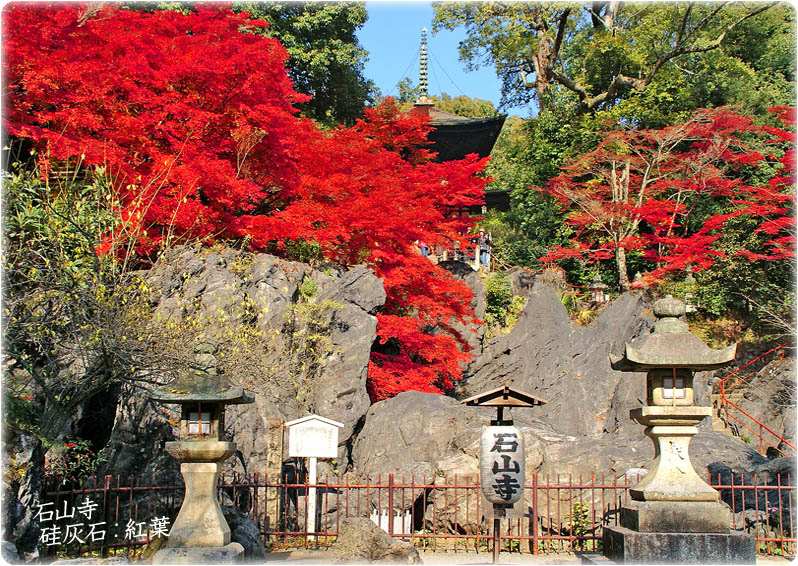 石山寺紅葉1