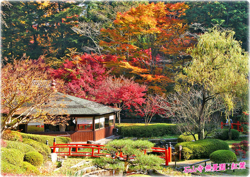 石山寺紅葉2