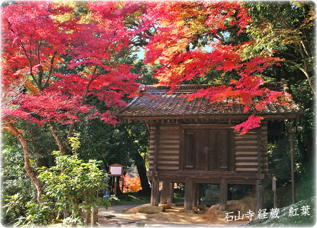 石山寺紅葉6