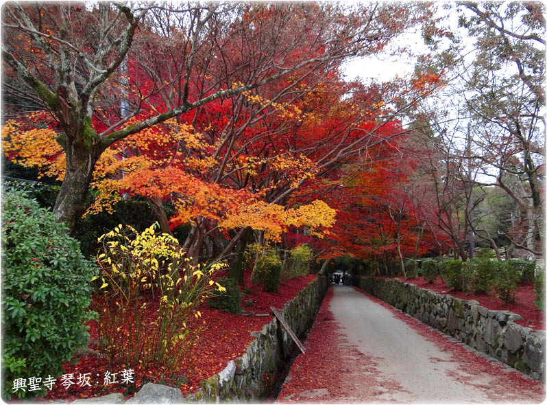 興聖寺琴坂 紅葉 宇治市 興聖寺琴坂 紅葉 宇治市