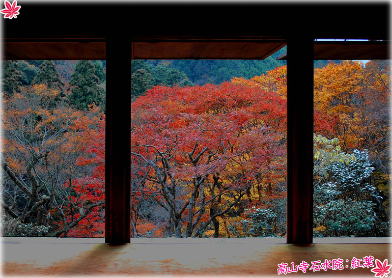 高山寺紅葉1