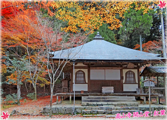 高山寺紅葉4