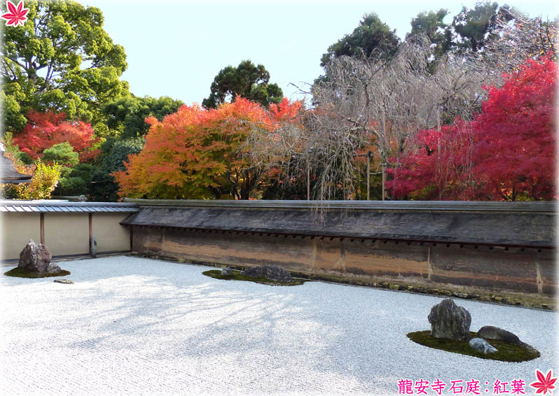 龍安寺紅葉2