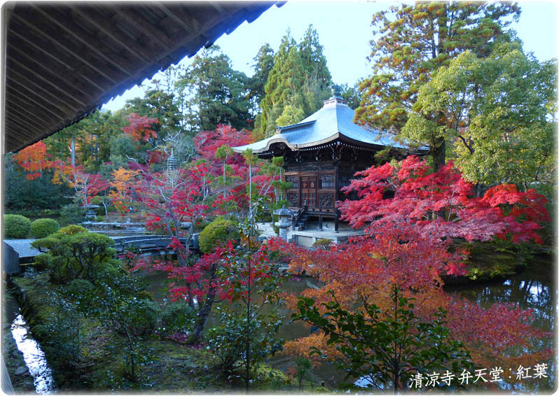 清涼寺紅葉1