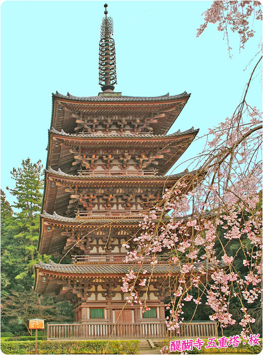 醍醐寺桜1