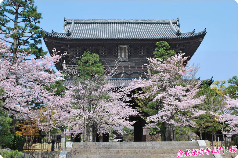 京都の桜黒谷78-1